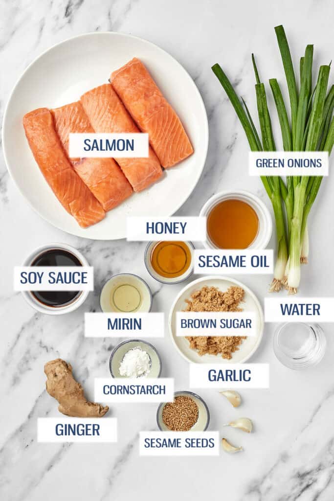 Ingredients for Instant Pot teriyaki salmon: salmon, green onions, soy sauce, mirin, honey, sesame oil, ginger, cornstarch, brown sugar, garlic and sesame seeds.
