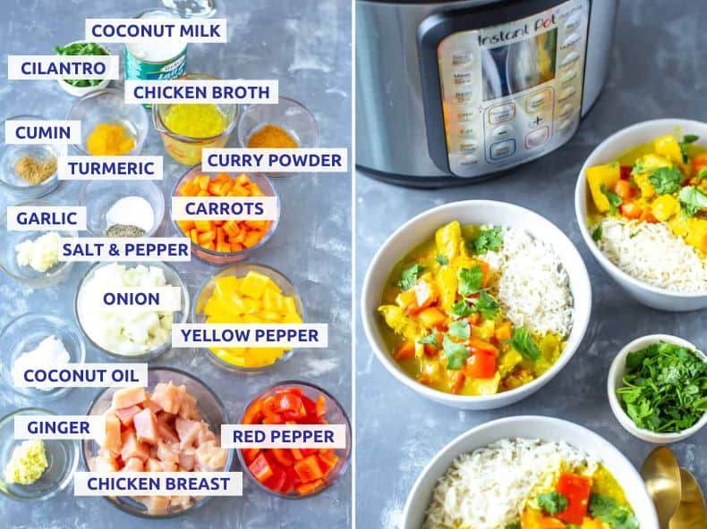 Ingredients for Instant Pot chicken curry